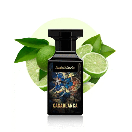 Casablanca men’s aromatic citrus perfume spray 50ml with citrus, herbal, and musky woody notes.